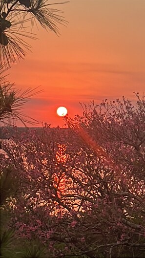 A sunset with a visible sun, trees, and a body of water. - Pousada Rio Uruguai (Uruguaiana)