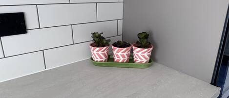A kitchen counter with a white tiled backsplash, a green tray holding three potted plants with white and red patterns, and a black electrical outlet on the left.