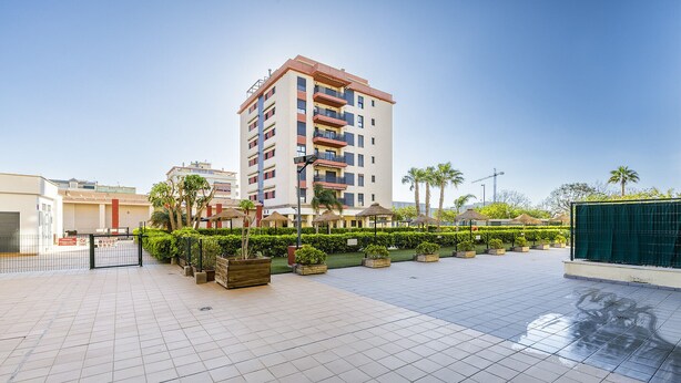 Un hotel de varios pisos con un patio empinado, plantas en macetas y una palmera.