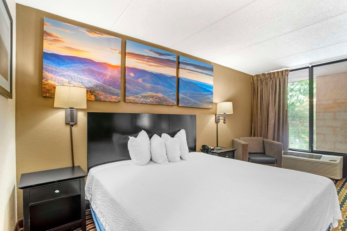 Habitación de hotel con una cama grande, cabecera, mesita de noche, una silla, ventana con cortinas y un cuadro colgado en la pared.