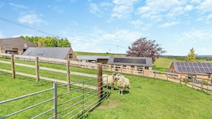 A rural farm with a fenced area, solar panels, and a building with a sloped roof.