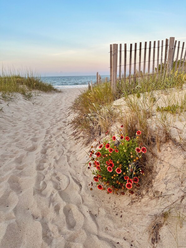 Beach nearby, sun-loungers