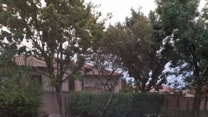 Immagine non classificata, 3 di 24, pulsante