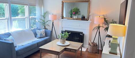 Smart TV, fireplace, books, printers