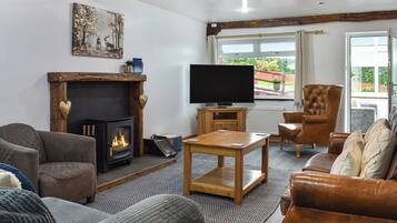 TV, fireplace