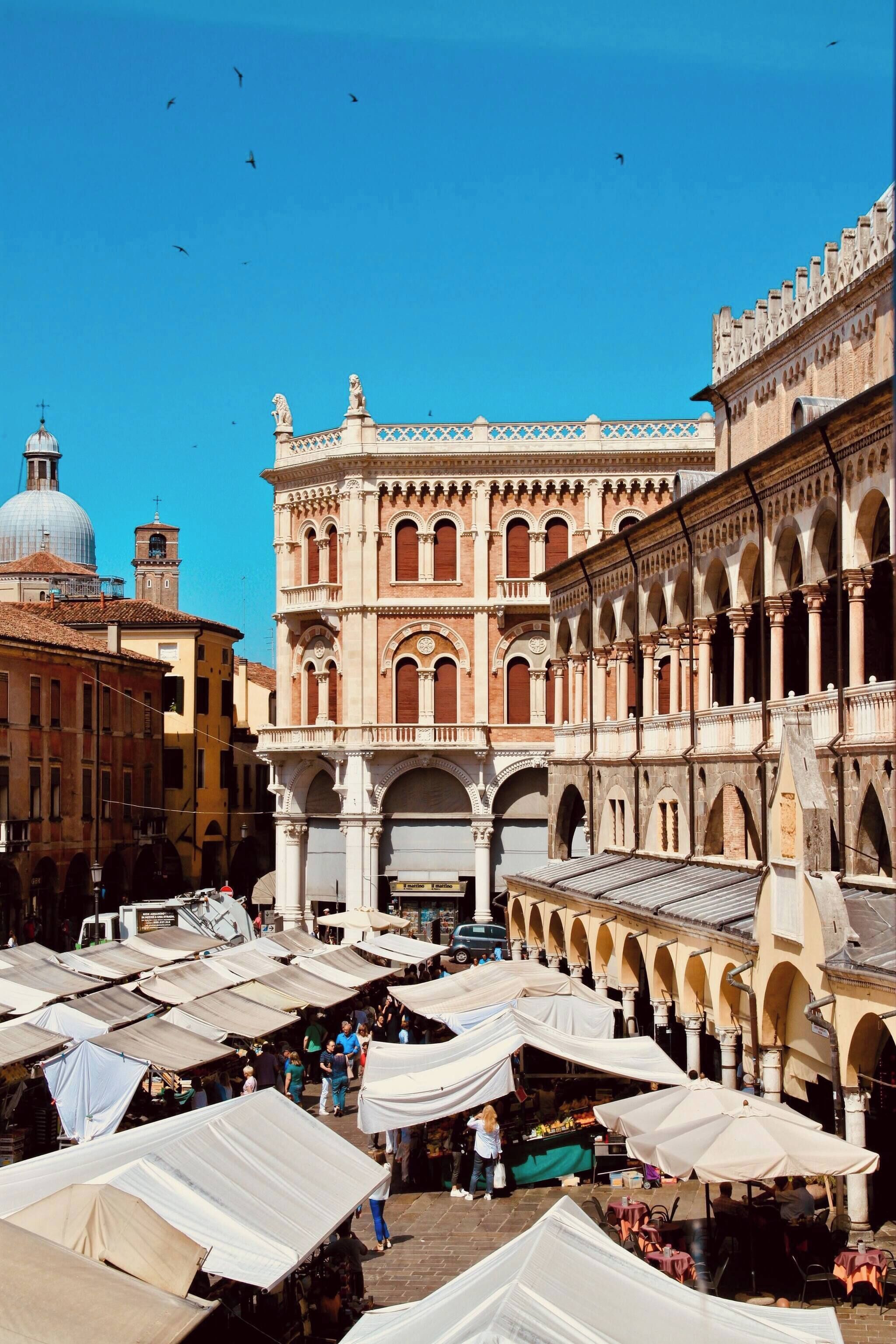Apartamento, 3 habitaciones, terraza, vistas al jardín | Exterior