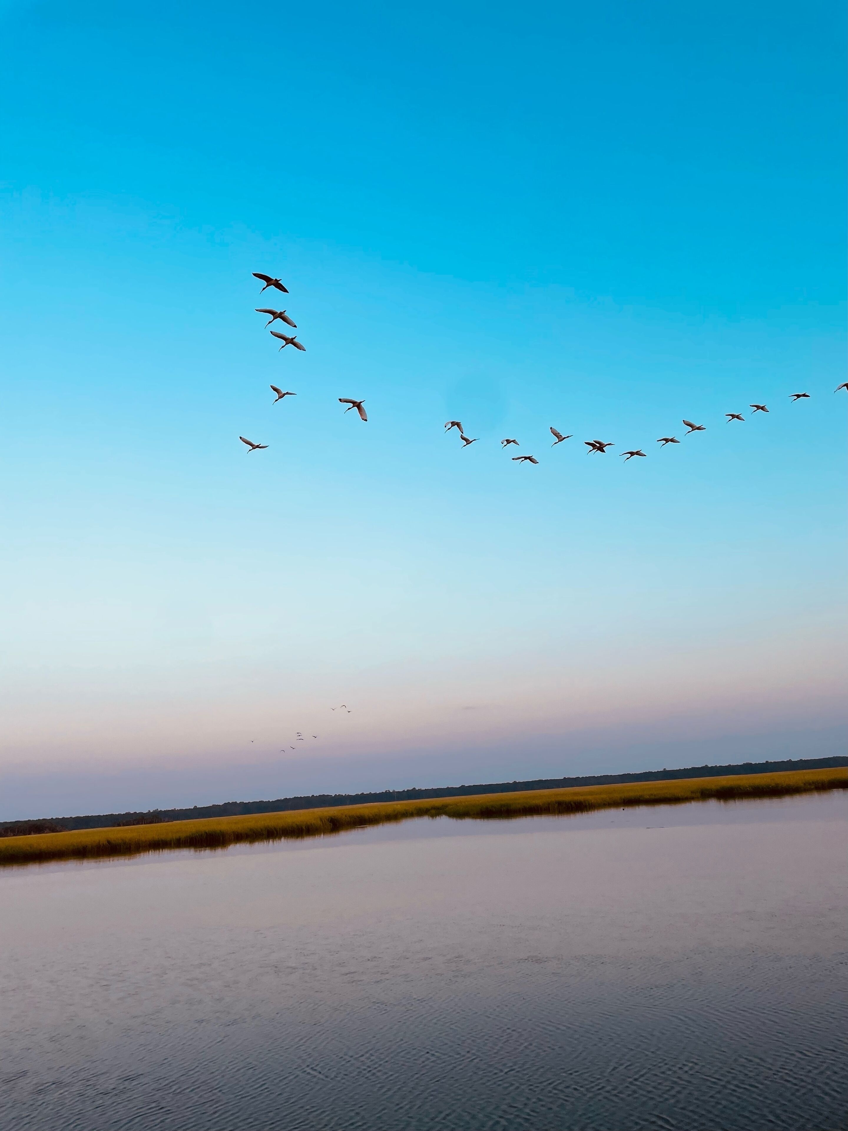 Une étendue d’eau calme, un ciel dégagé et une volée d’oiseaux qui passe au-dessus.