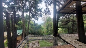 Un espacio al aire libre cubierto con suelo de piedra, rodeado de árboles altos.