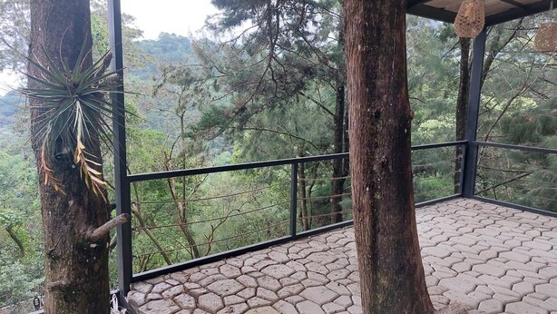 Un espacio al aire libre cubierto, con suelo de baldosas hexagonales, rodeado de árboles y vistas a un paisaje boscoso.