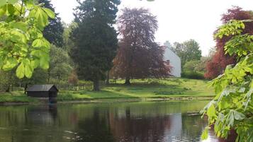 House | Property grounds