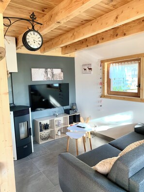 Televisión, chimenea y libros 