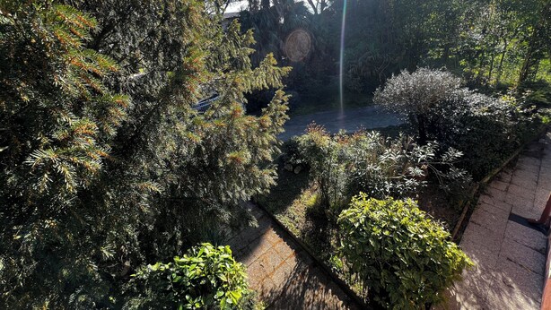 A garden with dense foliage, a pathway, and a pond. - Villa Egles - Villa with garden Lignano Sabbiadoro (Lignano Sabbiadoro)