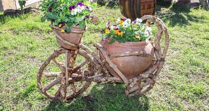 Ancient winery Emilia