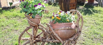 Ancient winery Emilia