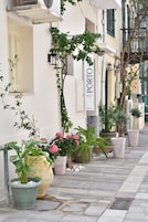 Fachada de hotel con letrero de recepción, plantas en macetas y un camino empedrado.