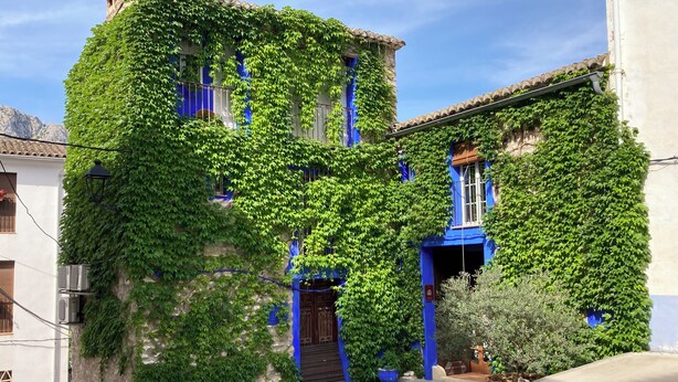 Un edificio con fachada azul cubierta parcialmente por hiedra verde.