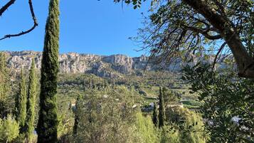 Paisaje montañoso con cipreses y un cielo azul despejado.