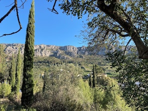 Paisaje montañoso con cipreses y un cielo azul despejado.