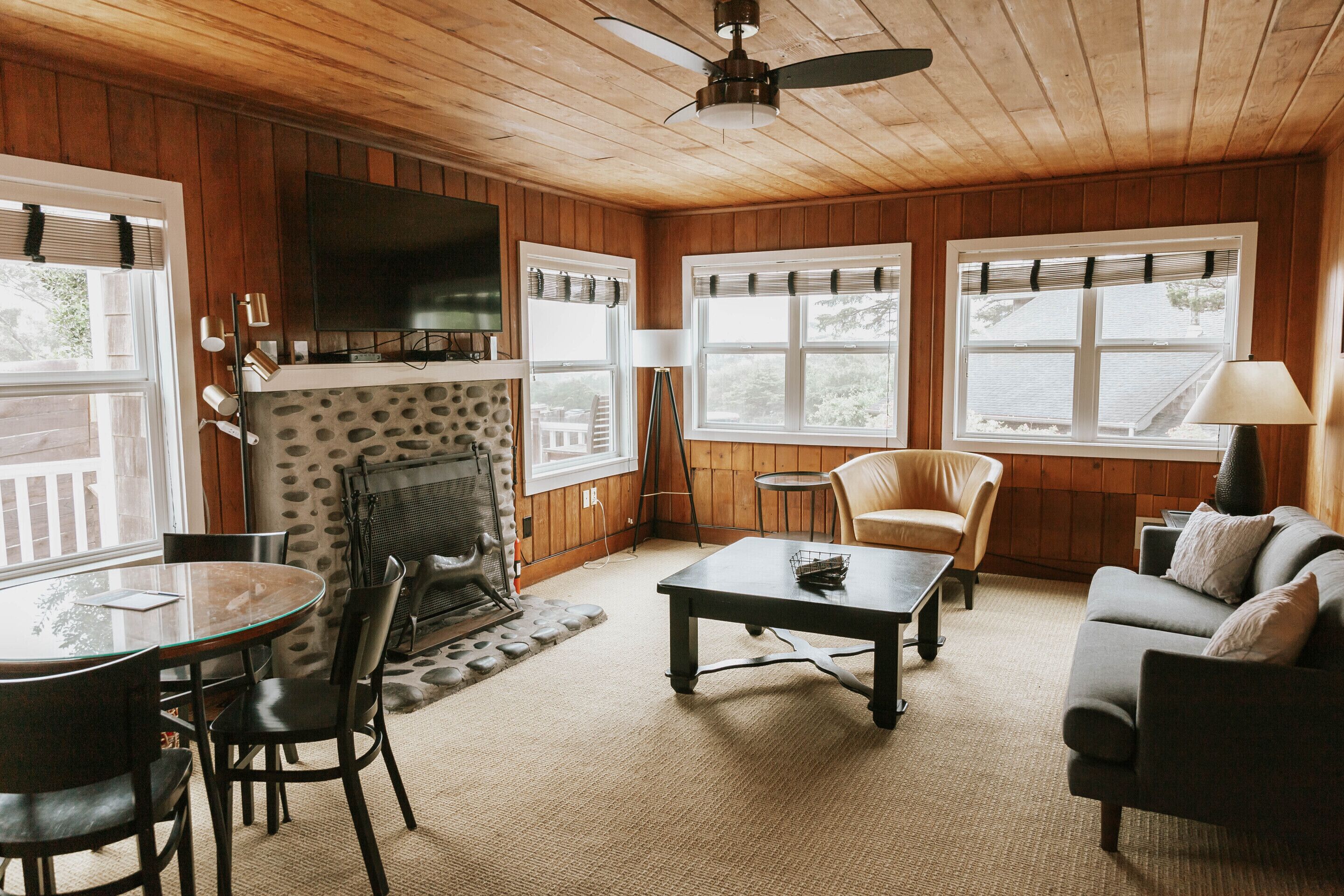 TV, fireplace, DVD player, books