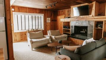 Télévision, cheminée, lecteur de DVD, livres