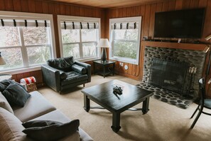 TV, fireplace, DVD player, books