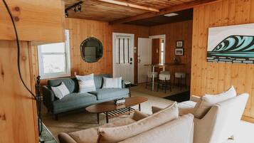 Télévision, cheminée, lecteur de DVD, livres