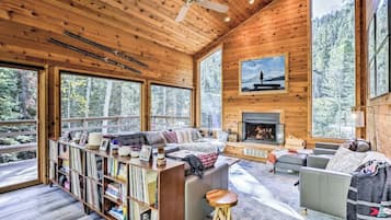 TV, fireplace, DVD player, books