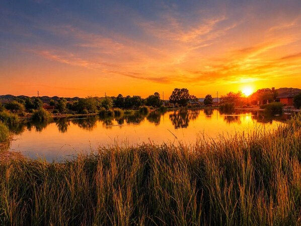 Un coucher de soleil sur un lac paisible, entouré de végétation et avec des bâtiments visibles au loin.
