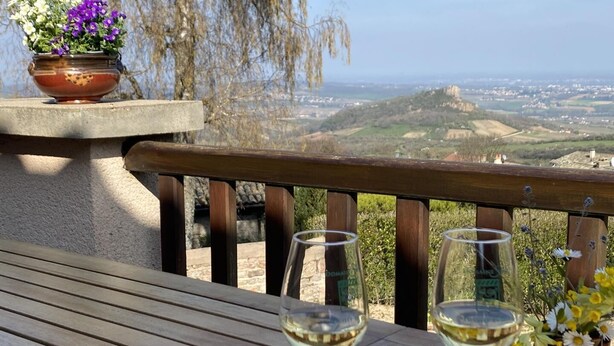 A wooden table with two wine glasses, a potted plant with purple flowers, and a view of a valley. - La Ponie - Cenves - Gîte (CENVES)