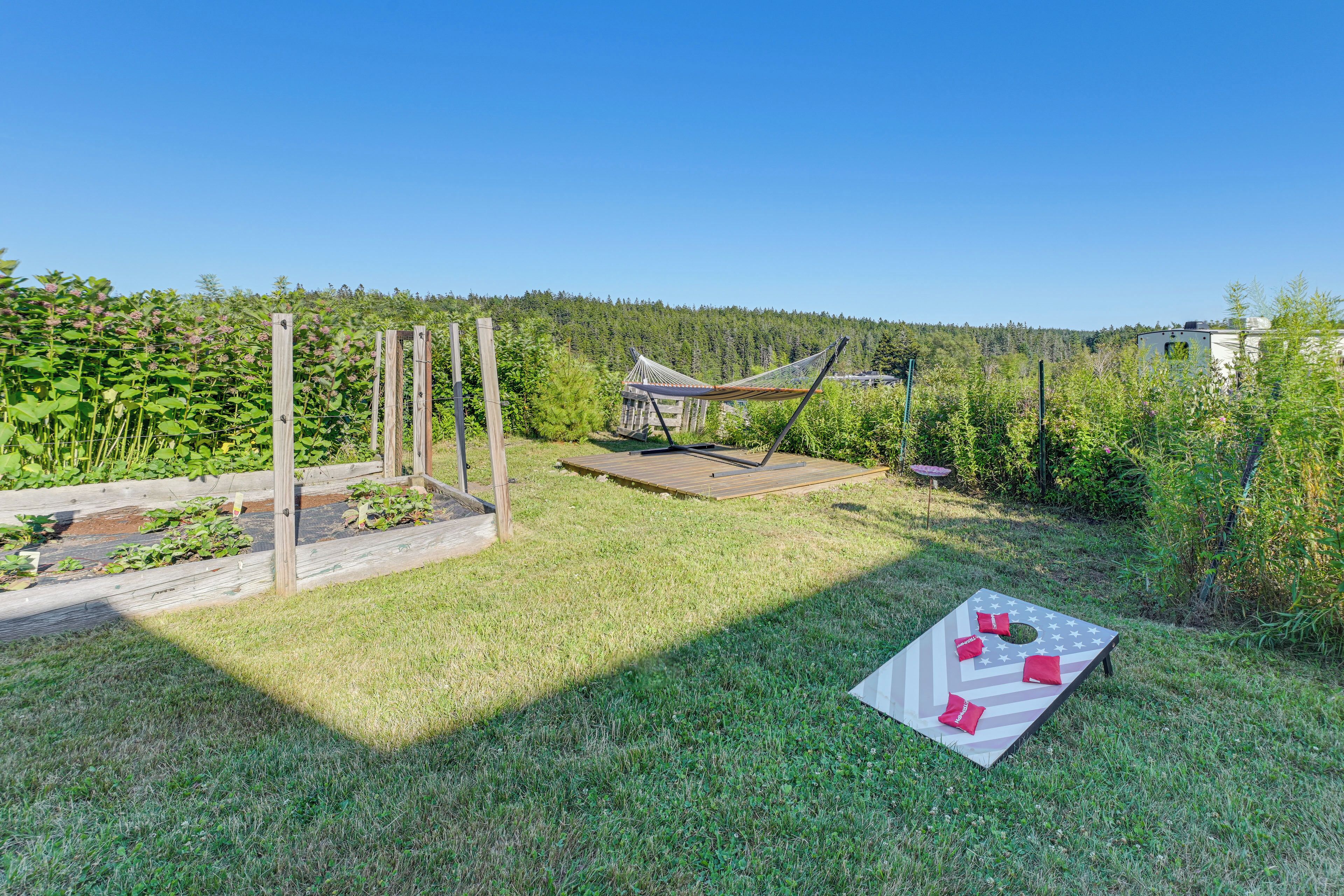 A backyard with a hammock, a picnic table, and a wooden deck.