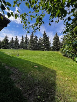 Property grounds - Cozy Country Bungalow about 5 minutes from Sylvan Lake! (AB)