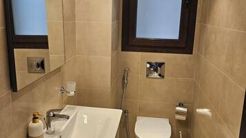 Shower, bidet, soap, toilet paper