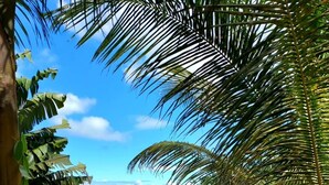 A lush tropical landscape with dense greenery and palm trees, leading to a view of the ocean. - Cottage in the heart of the rainforest  (Sainte-Rose)