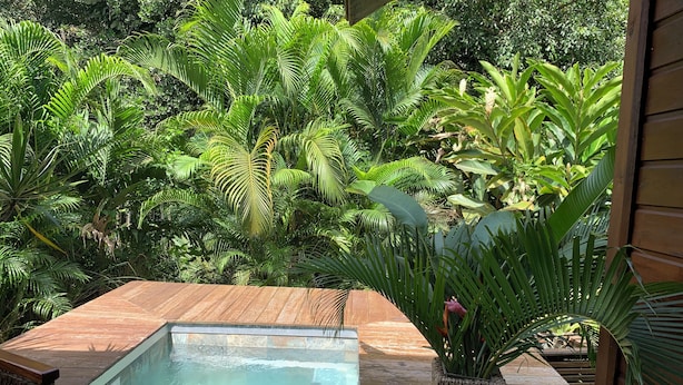 A wooden deck with a rectangular pool surrounded by lush tropical plants. - Cottage in the heart of the rainforest  (Sainte-Rose)