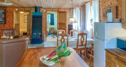 Amazing home in Sävsjö with kitchen