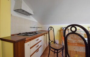 Fridge, stovetop, cookware/dishes/utensils