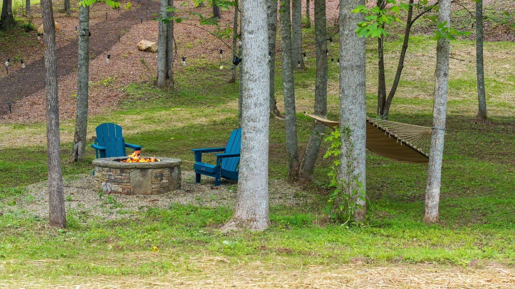 A forested area with a stone fire pit, two blue Adirondack chairs, and a hammock.