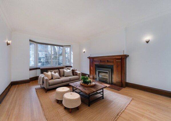 Smart TV, fireplace, books