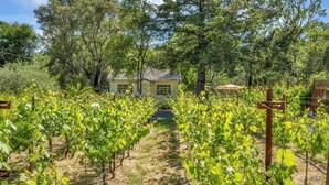 A vineyard with rows of grapevines, a small house, and a wooden fence. - Grapevine Cottage by Avantstay Private Vineyard + Outdoor/indoor Living + Firepit + Minutes to Glen Ellen (Glen Ellen)