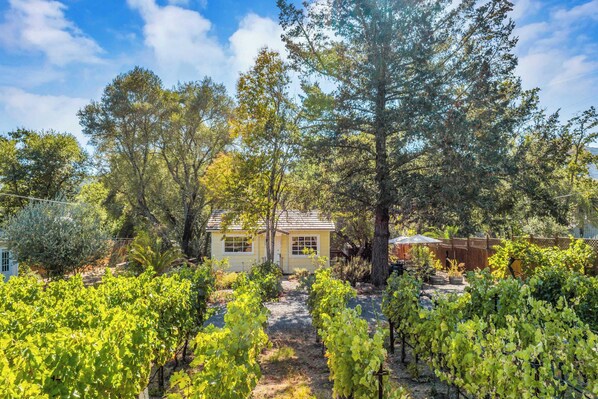 Huis (2 Bedrooms) | Interieur