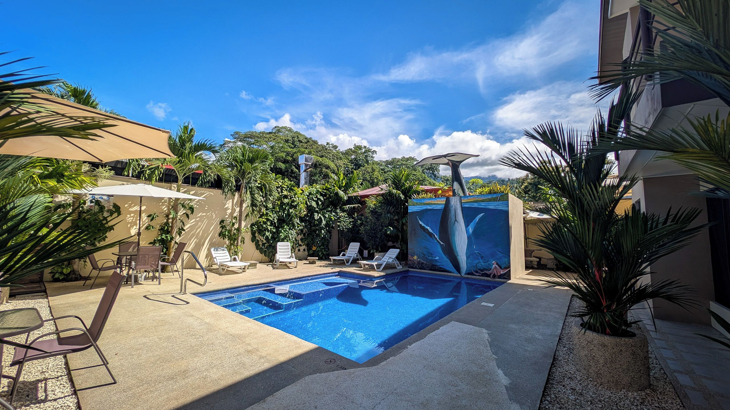 Ein Swimmingpool mit Liegestühlen und einer Palme.