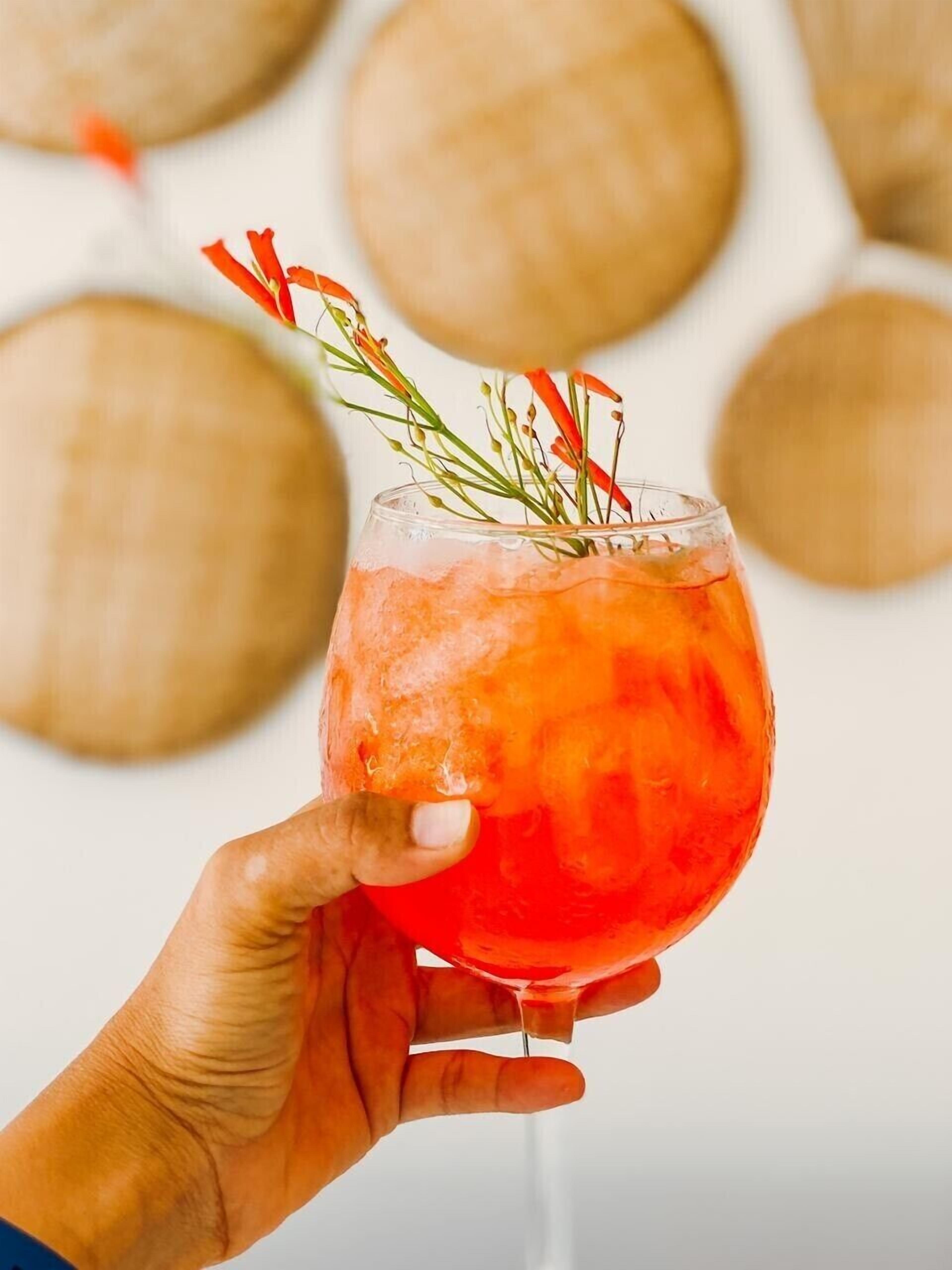 A hand holding a glass with a red drink and a sprig of rosemary.