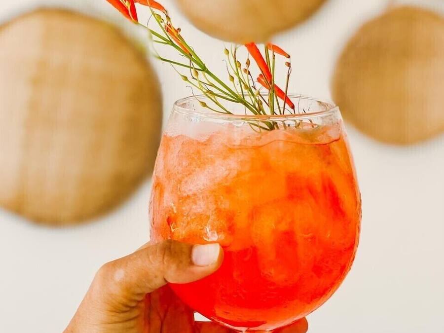 A hand holding a glass with a red drink and a sprig of rosemary.