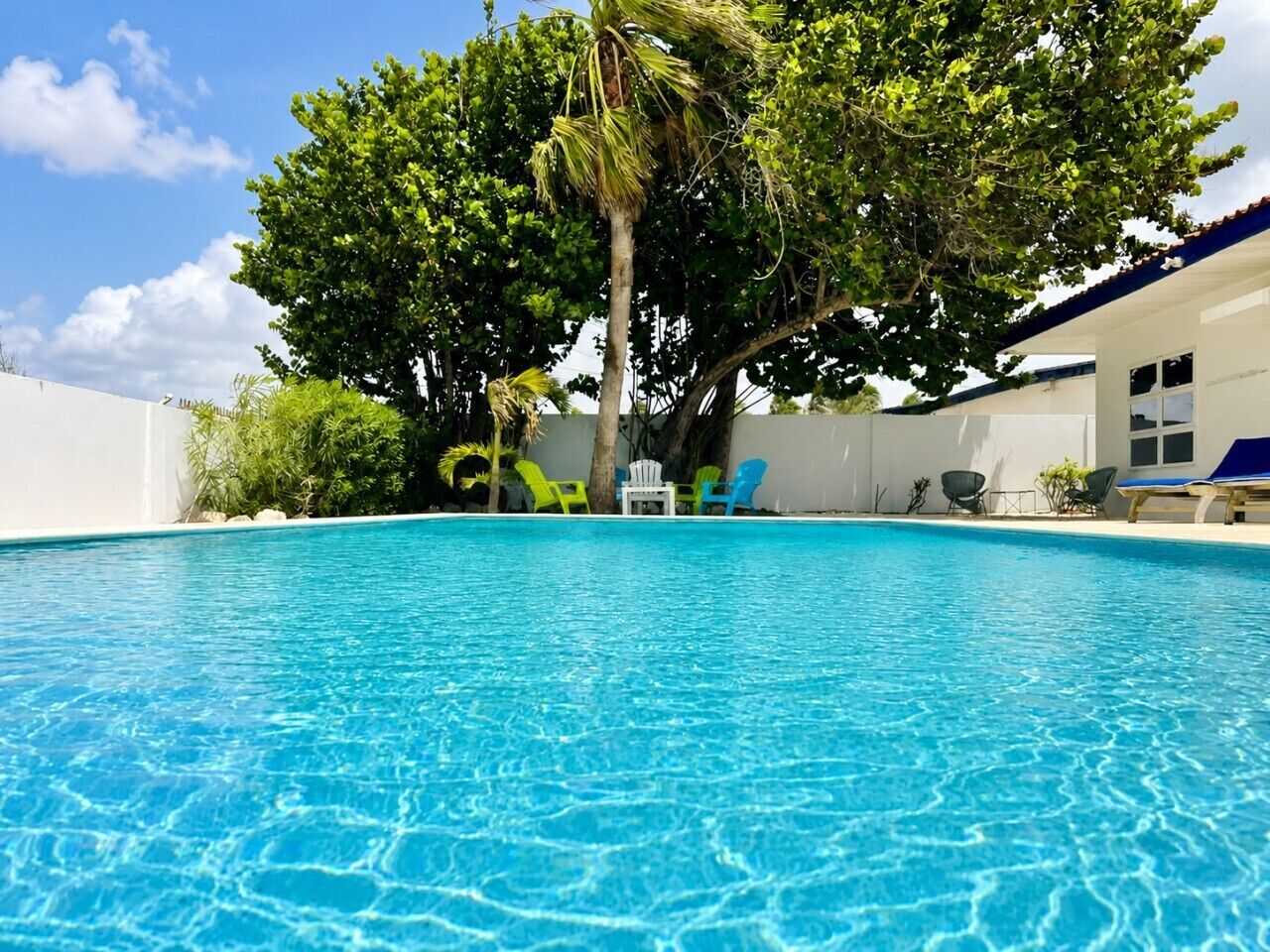 A clear blue swimming pool with lounge chairs and a palm tree.
