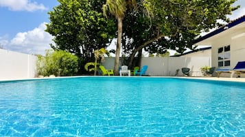 A clear blue swimming pool with lounge chairs and a palm tree.