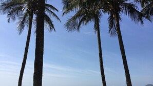 A beach with palm trees, a gate leading to the beach, and beach umbrellas. - Riviera: M4 Giardino 44A, Beach front (Bertioga)