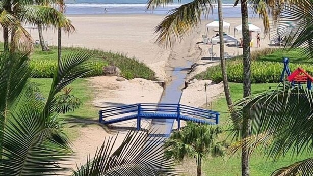 A beach with palm trees, a sandy shore, and a blue bridge. - Riviera: M4 Giardino 44A, Beach front (Bertioga)