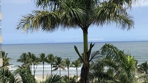 A palm tree in the foreground with a view of the ocean and beach in the background. - Riviera: M3 Kingston Town 61, beach front (Bertioga)