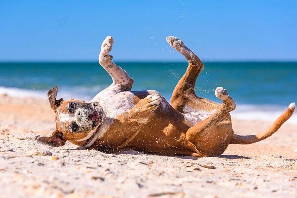 Una playa cerca