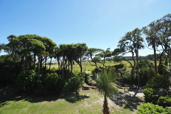 A lush landscape with a variety of trees and a clear sky.